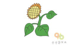 花枝招展的向日葵简笔画
