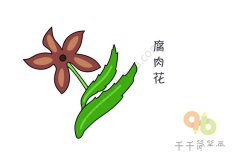腐肉花简笔画图片