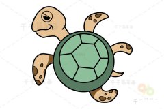 玳瑁简笔画