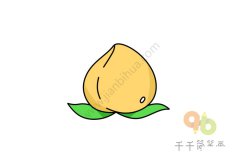 桃子简笔画步骤图