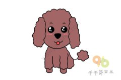 棕色卷毛狗简笔画