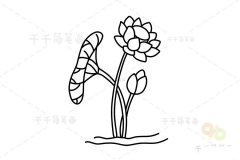 荷花简笔画 亲子早教绘画