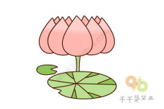 荷花简笔画 儿童学画
