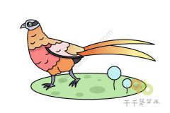 白冠长尾雉简笔画怎么画