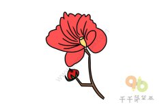 鲜红的蜀葵简笔画图片