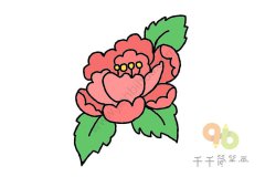 牡丹简笔画  送给妈妈的礼物