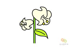 轻松学会 百合花简笔画