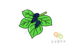 桑葚简笔画步骤图