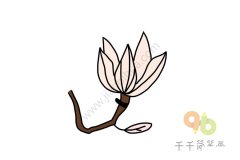 盛开的木兰花简笔画