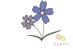 紫色小花简笔画