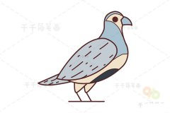 山鹑简笔画