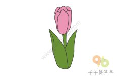 轻松学会 郁金香简笔画