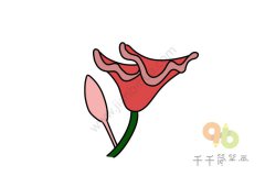 鲜红的鸡冠花简笔画图片