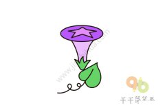 紫色牵牛花简笔画