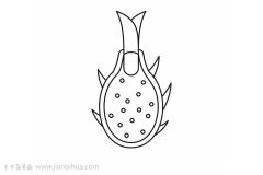 火龙果简笔画画法