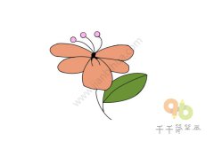 生机勃勃的蝴蝶花简笔画图片