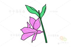花的画法 千屈菜简笔画