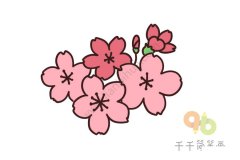 漂亮的樱花简笔画如何画