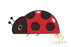 如何画七星瓢虫简笔画
