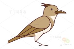 沙百灵简笔画