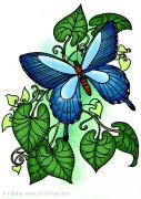 漂亮蝴蝶简笔画