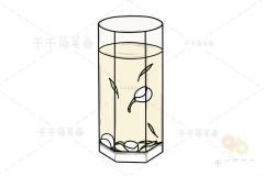 茉莉花茶简笔画