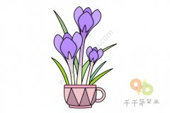 番红花简笔画怎么画
