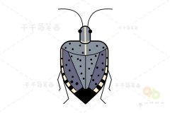 椿象简笔画