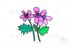 香叶天竺葵简笔画教程