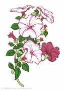 牵牛花简笔画