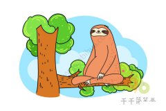 慢吞吞的树懒简笔画