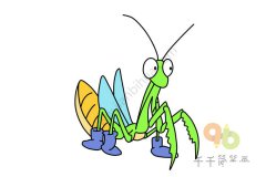 呆呆的螳螂简笔画图片