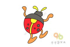 手舞足蹈的七星瓢虫简笔画