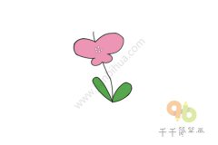 花朵爱好者 蝴蝶花简笔画图片大全