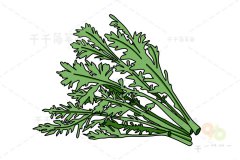 茼蒿简笔画图片