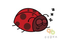在睡觉的七星瓢虫简笔画