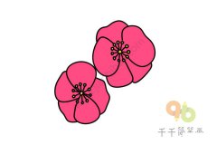 盛开的虞美人简笔画