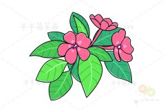 鲜艳的何氏凤仙简笔画画法