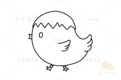 小鸡简笔画画法