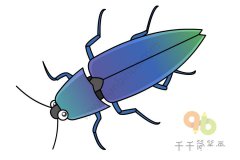 叩头虫简笔画如何画