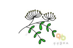 漂亮的合欢花简笔画