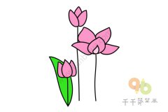 盛开的郁金香简笔画画法