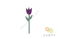 玫瑰花简笔画图片