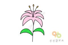 花香袭人的百合简笔画