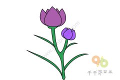 迷人的紫色花朵简笔画