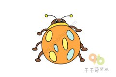 可爱的七星瓢虫简笔画