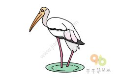 彩鹳简笔画怎么画