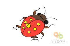 爬来爬去的七星瓢虫简笔画