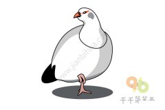 怎么画雪鸡简笔画图片
