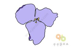 紫露草简笔画画法